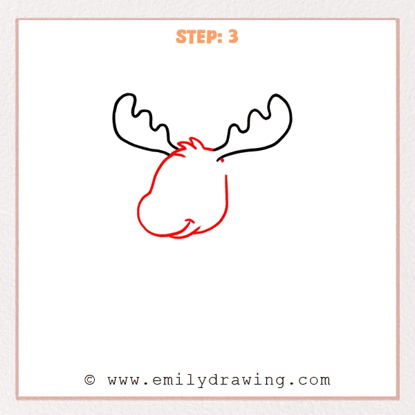 how to draw a cartoon moose - Step 3 progression of the cartoon moose drawing after the "build the moose head" stage.