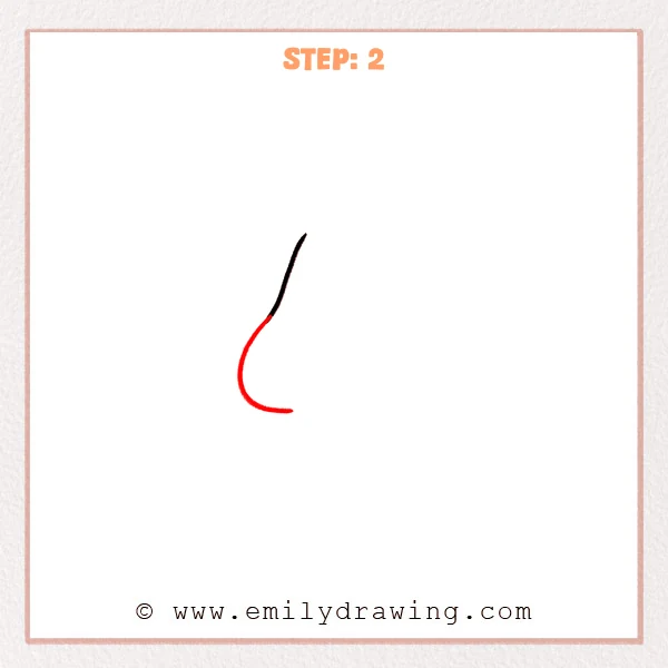 how to draw a cartoon nose - Cartoon nose Step 2 showing the rounded left wing added below the bridge.