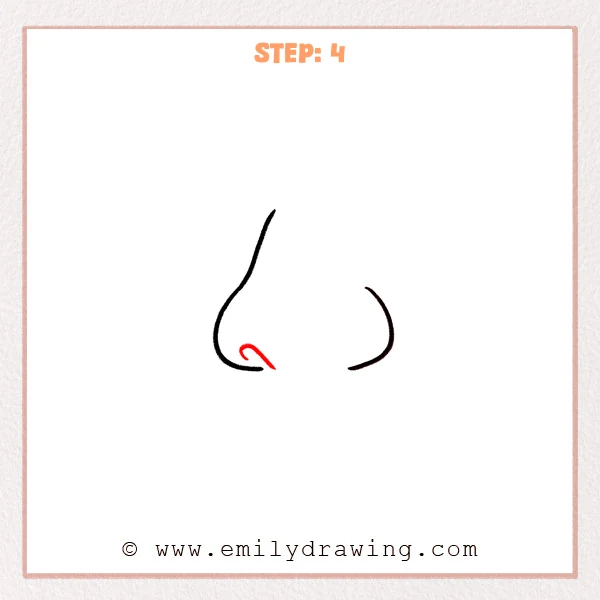how to draw a cartoon nose - Cartoon nose Step 4 showing a curled left nostril inside the outline.