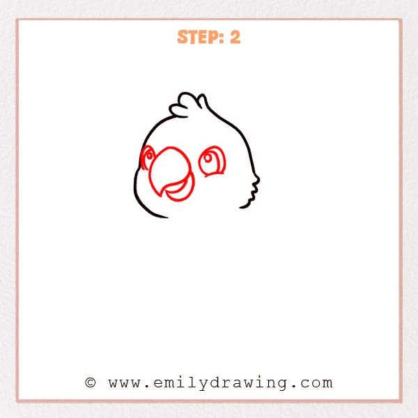 how to draw a cartoon parrot - Cartoon parrot Step 2 showing large eyes and a layered hooked beak.