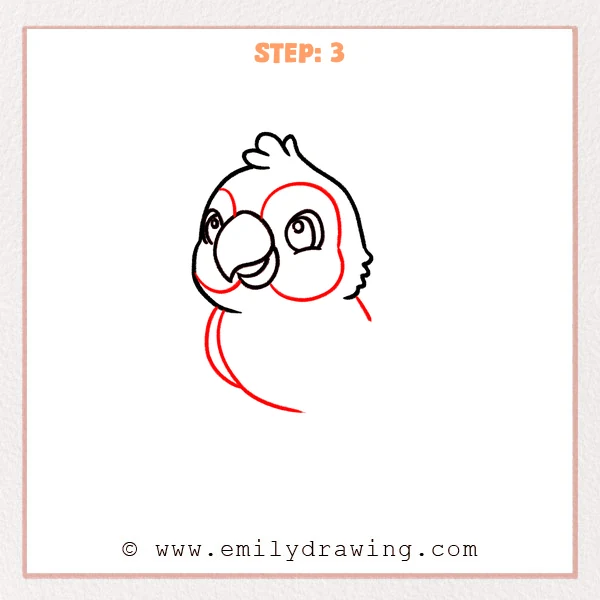 how to draw a cartoon parrot - Cartoon parrot Step 3 showing facial patches, chest stripe, and rounded body.