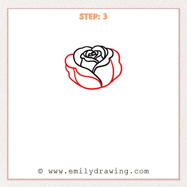 how to draw a cartoon rose - Cartoon rose Step 3 showing the full rounded bloom with outer petals