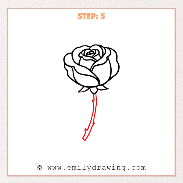 how to draw a cartoon rose - Cartoon rose Step 5 showing a long stem with several small thorns
