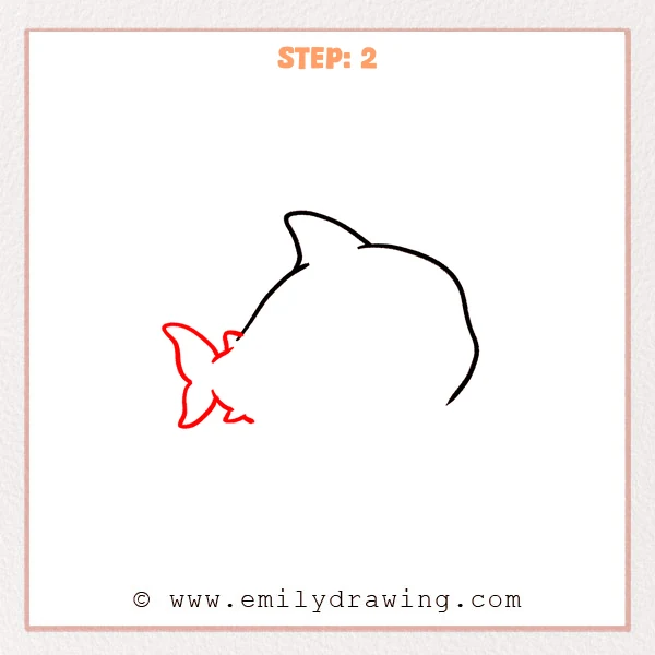 how to draw a cartoon shark - Cartoon shark Step 2 showing a forked tail attached to the body