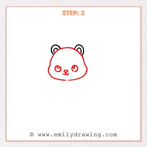 how to draw a cartoon squirrel - Cartoon squirrel Step 2 showing a round head with large eyes and a tiny muzzle