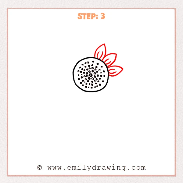 how to draw a cartoon sunflower - Cartoon sunflower Step 3 showing three veined petals on the upper-right side