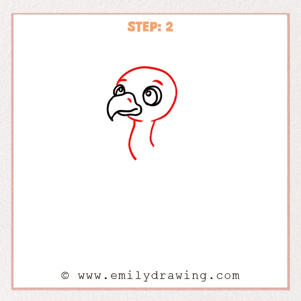 how to draw a cartoon vulture - Cartoon vulture Step 2 showing a round bald head and long neck