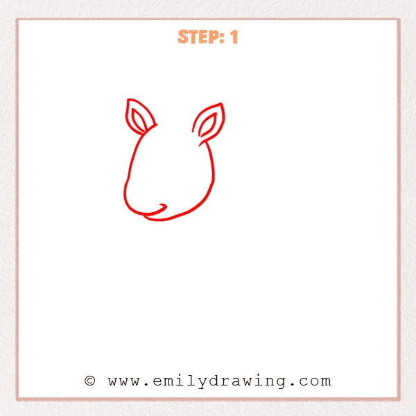 how to draw a cartoon zebra - Cartoon zebra Step 1 showing a rounded head with two pointed ears