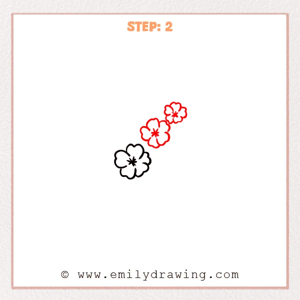 how to draw a cherry blossoms - Cherry blossoms Step 2 showing three flowers arranged diagonally