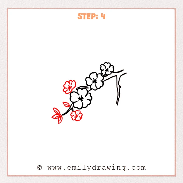 how to draw a cherry blossoms - Cherry blossoms Step 4 showing extra flowers and pointed leaves on the left