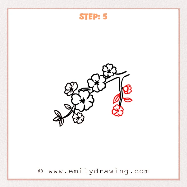 how to draw a cherry blossoms - Cherry blossoms Step 5 showing two flowers and leaves on the right twig