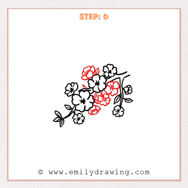 how to draw a cherry blossoms - Cherry blossoms Step 6 showing a full overlapping cluster of flowers and leaves
