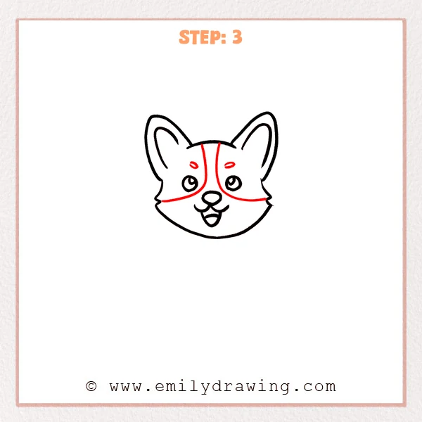 how to draw a corgi - Corgi Step 3 showing curved facial color boundaries and two small eyebrow markings