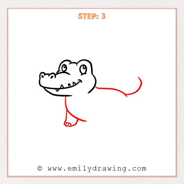 how to draw a crocodile - Crocodile Step 3 adding the body, curled tail, belly, and first front leg.
