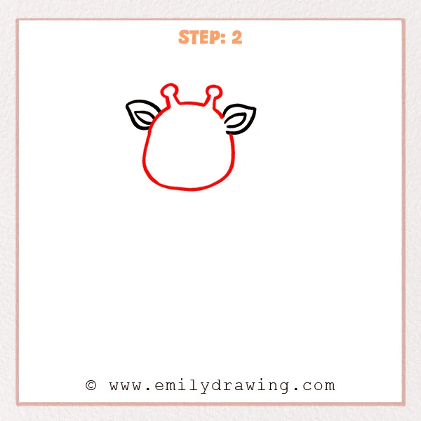 how to draw a cute giraffe - Cute giraffe Step 2 adding the round head and two knobbed horns.