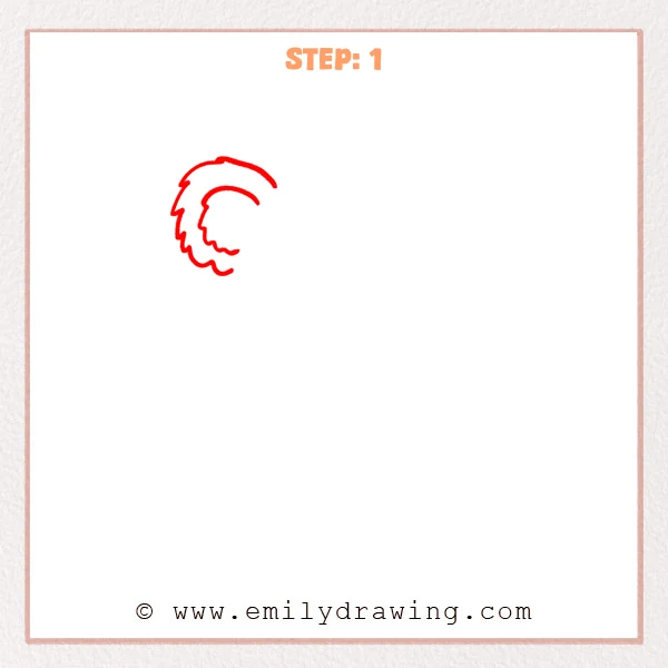 how to draw a cute koala - Cute koala Step 1 showing one fuzzy round ear with an inner fur curve
