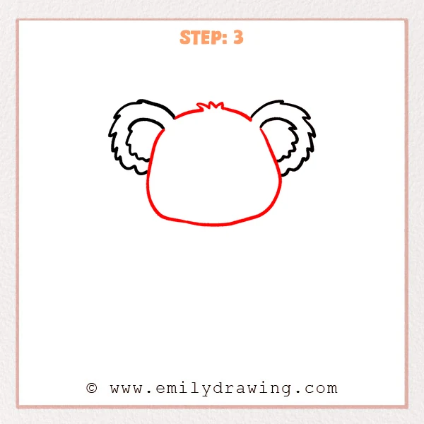 how to draw a cute koala - Cute koala Step 3 showing a broad head connected between two fuzzy ears