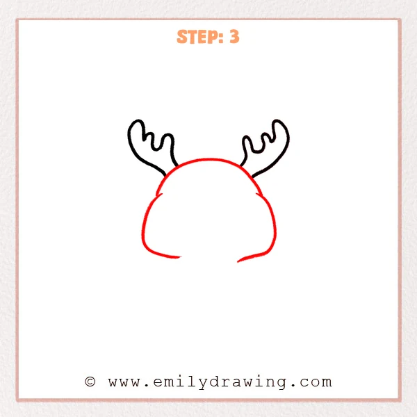 how to draw a deer skull - Deer skull Step 3 showing a broad upper skull beneath the antlers