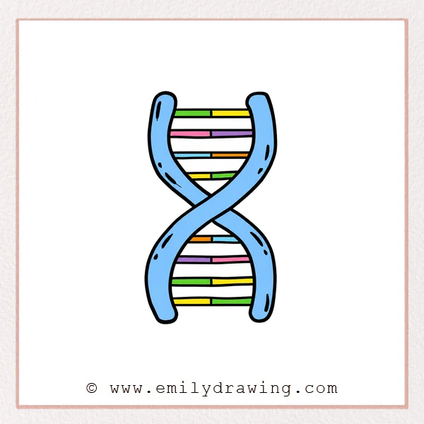 Preview of Dna drawing