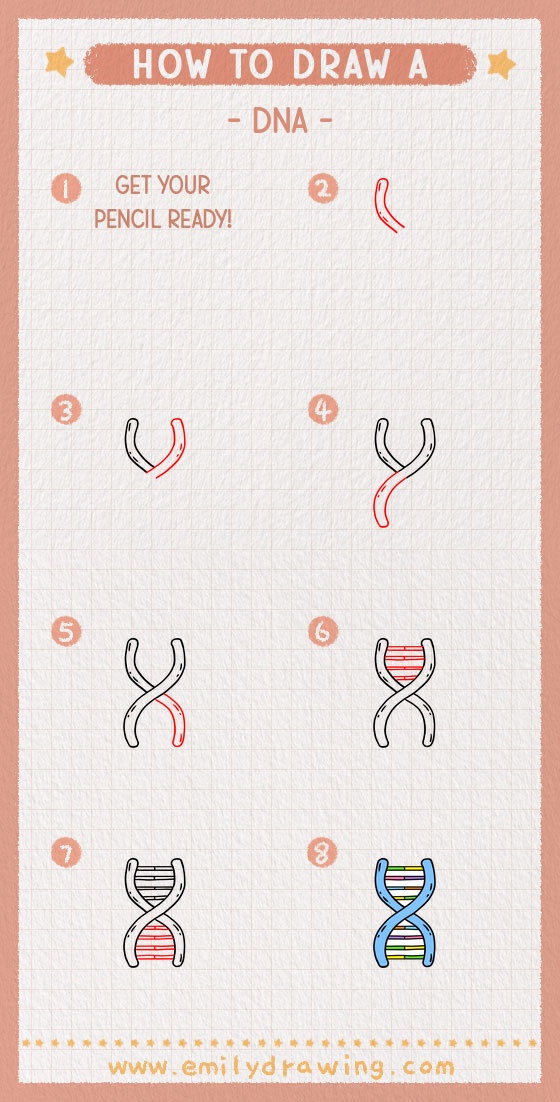 how to draw a dna pinterest pin