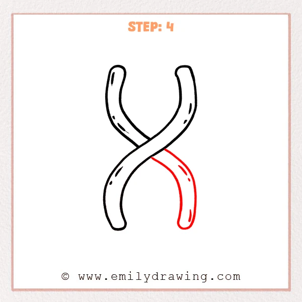 how to draw a dna - DNA Step 4 showing two complete crossing strands forming a double helix