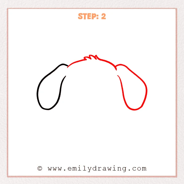 how to draw a dog face - Dog face Step 2 showing the head top and two floppy ears