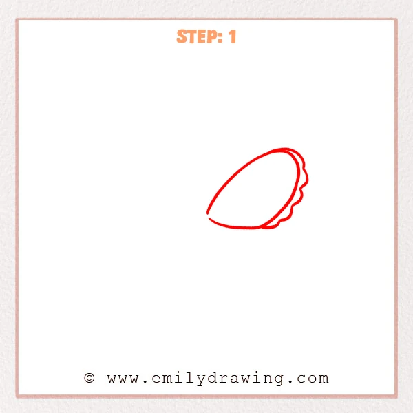 how to draw a fairy wings - Fairy wings Step 1 showing one long scalloped upper wing