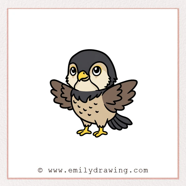 Preview of Falcon drawing