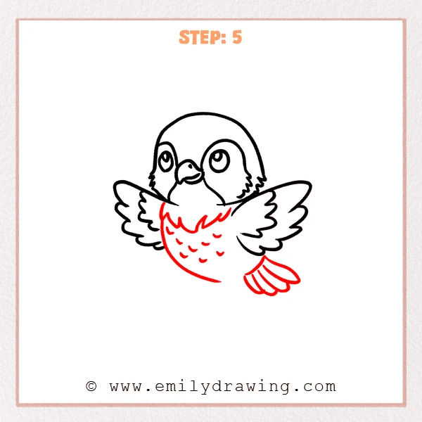 how to draw a falcon - Falcon Step 5 showing a rounded feathered body and layered tail