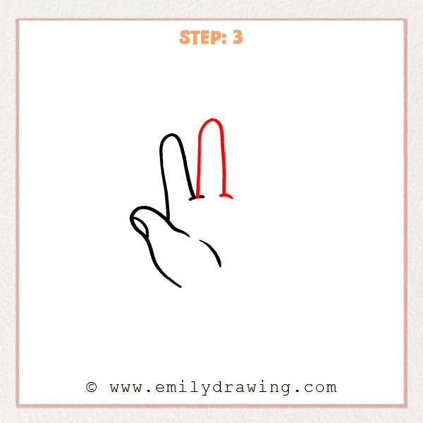 how to draw a fingers - Fingers drawing gains a taller middle finger and its base crease.