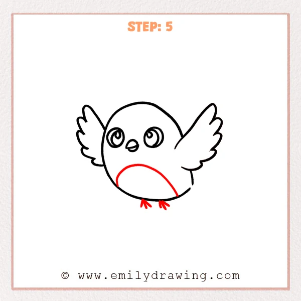 how to draw a flying bird - Flying bird gains a curved belly patch and two small three-toed feet.