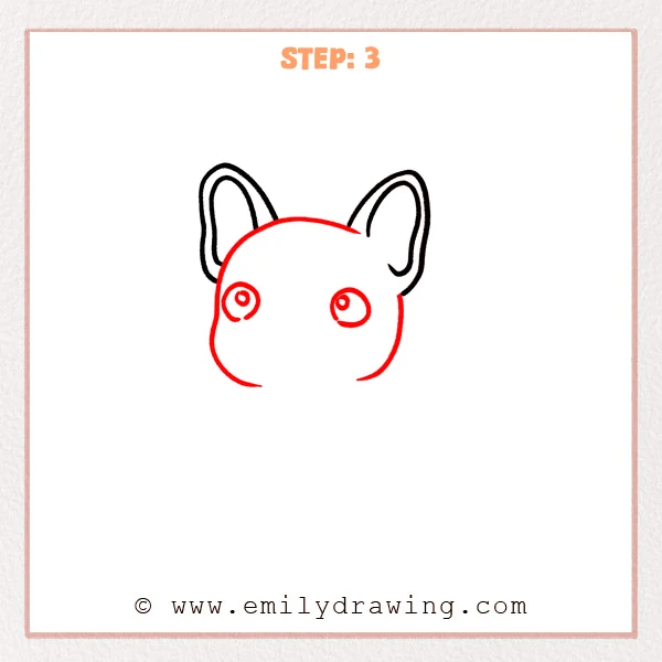 how to draw a french bulldog - French bulldog drawing gains a broad forehead, cheek outlines, and two highlighted eyes.