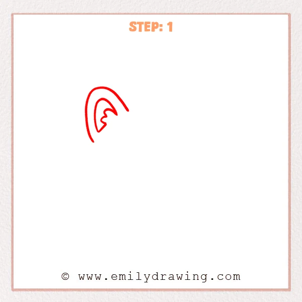 how to draw a furry head - Furry head drawing begins with a tall left ear and a tufted inner ear shape.